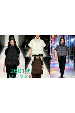 Kurtki damskie zimowe (M-2XL) 2601