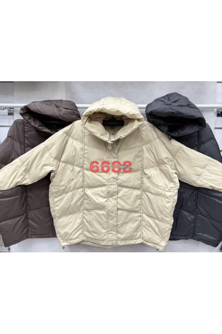 Kurtki damskie zimowe (M-3XL) 1
