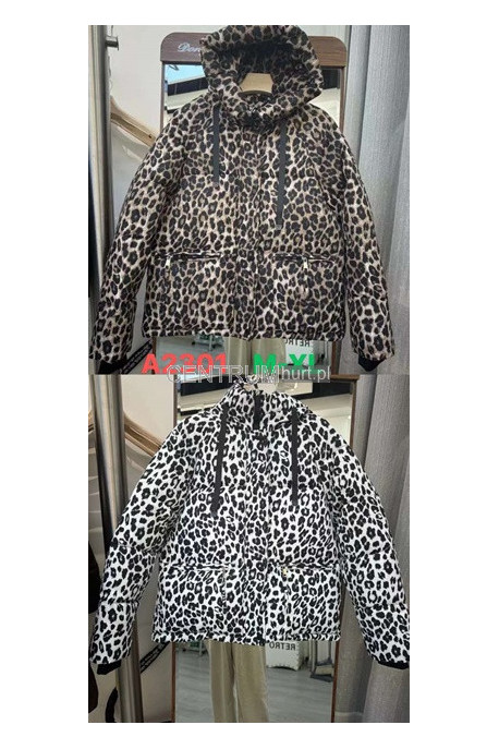 Kurtki damskie zimowe (M-2XL) 1
