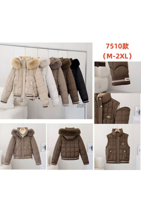 Kurtki damskie zimowe (M-2XL) 1