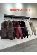Kurtki damskie zimowe (M-2XL) 1