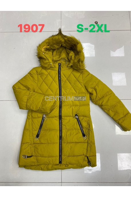 Kurtki damskie zimowe (M-2XL) 1