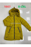 Kurtki damskie zimowe (M-2XL) 1
