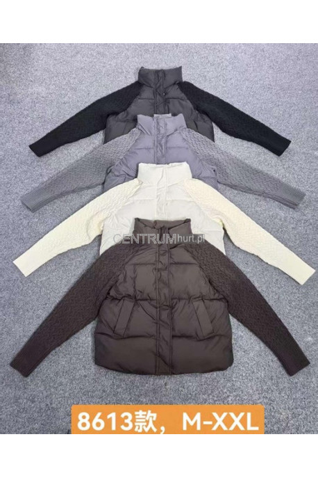 Kurtki damskie zimowe (M-2XL) 1