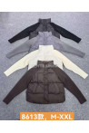 Kurtki damskie zimowe (M-2XL) 1