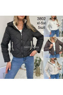 Kurtki damskie przejściowe (3XL-7XL) 2