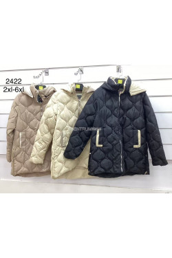 Kurtki damskie przejściowe (2XL-6XL) 2422