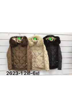 Kurtki damskie zimowe (2XL-6XL) 2623-1