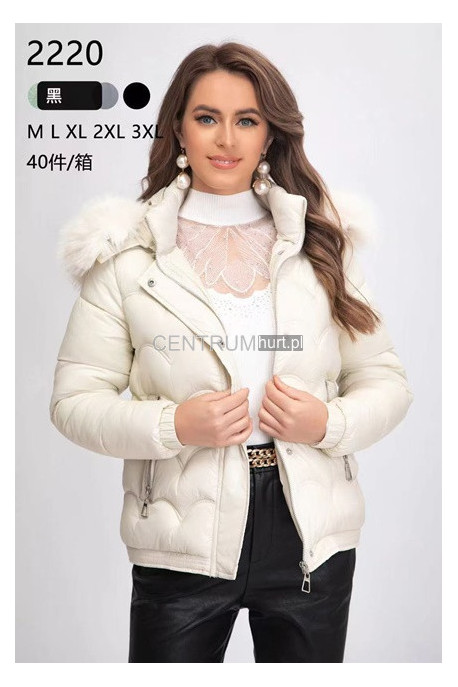 Kurtki damskie zimowe (S-2XL) 2