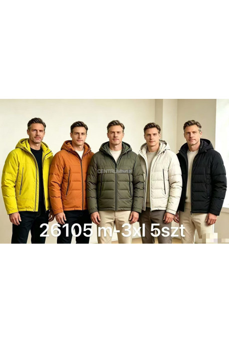 Kurtki męskie zimowe (M-3XL) 2