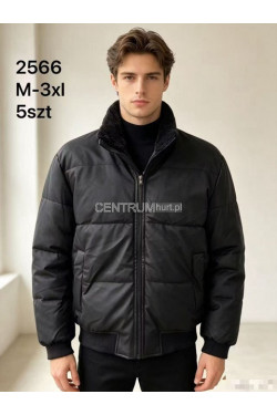 Kurtki męskie zimowe (M-3XL) 2566
