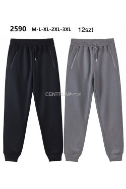 Spodnie dresowe męskie (M-3XL) 2590