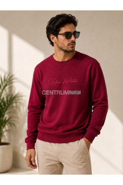 Bluza męska (M-2XL) 9228