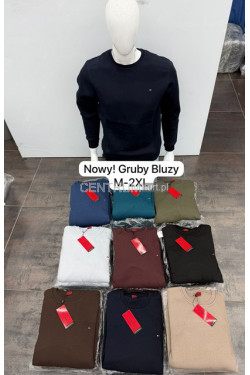 Bluza męska (M-2XL) 1073