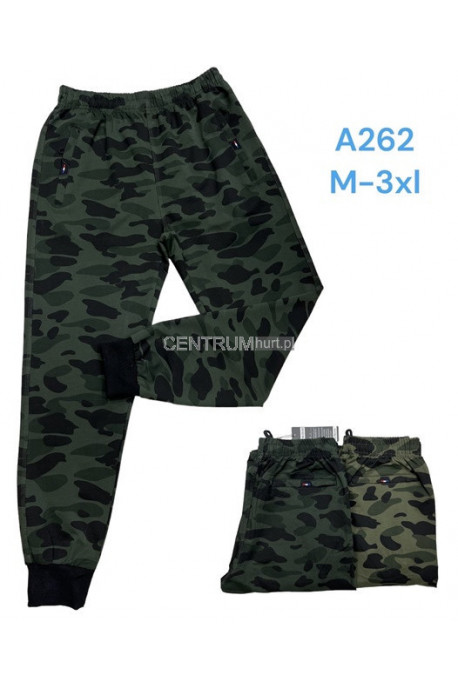 Spodnie dresowe męskie (M-3XL) 1