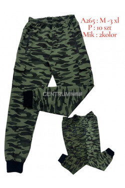 Spodnie dresowe męskie (M-3XL) A265
