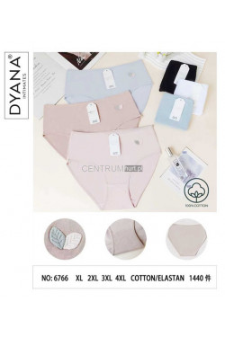 Majtki damskie (XL-4XL) 6766