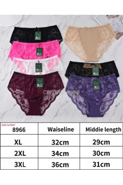 Majtki damskie (XL-3XL) 8966