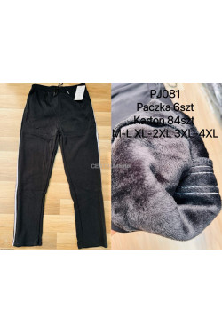 Spodnie damskie ocieplane (M-4XL) PJ081