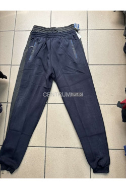 Spodnie dresowe męskie (L-5XL) 3735