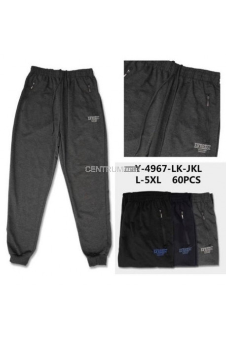 Spodnie dresowe męskie (M-4XL) 37