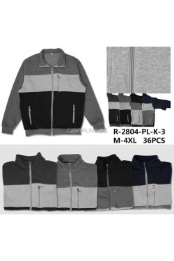 Bluza męska (M-4XL) 3747