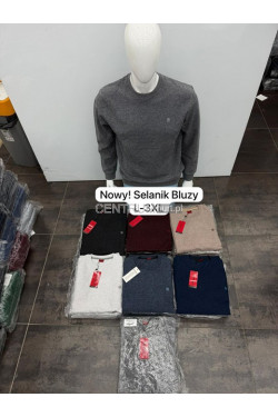 Bluza męska (L-3XL) 3758