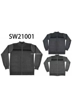 Sweter męski (L-3XL) 3774