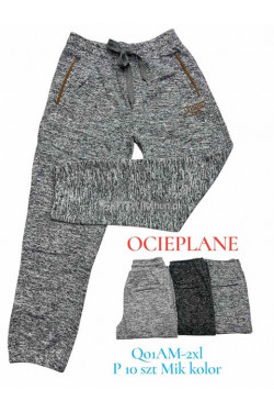 Spodnie dresowe męskie ocieplane (M-2XL) Q01