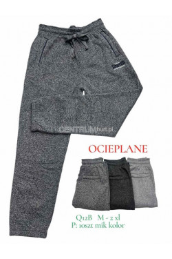 Spodnie dresowe męskie ocieplane (M-2XL) Q12B