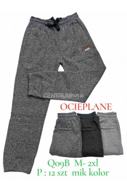 Spodnie dresowe męskie ocieplane (M-2XL) Q09B