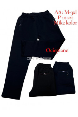 Spodnie dresowe męskie ocieplane (M-3XL) A8