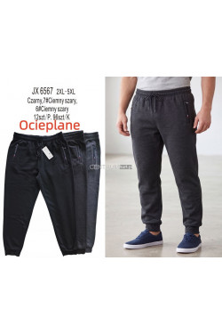 Spodnie dresowe męskie ocieplane (2XL-5XL) JX6567