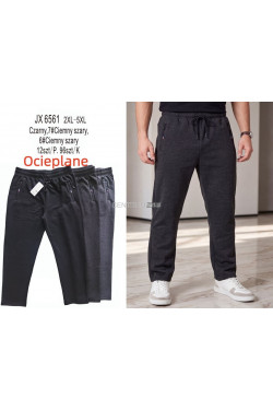 Spodnie dresowe męskie ocieplane (2XL-5XL) JX6561