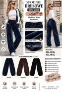 Spodnie dresowe damskie (S-XL) 1