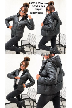 Kurtka damska zimowa (S-2XL) 2667-1