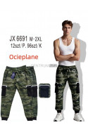Spodnie dresowe męskie (M-2XL) 53
