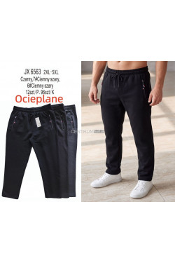 Spodnie dresowe męskie (2XL-5XL) 5380