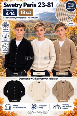 Sweter chłopięce (4-14) 23-81