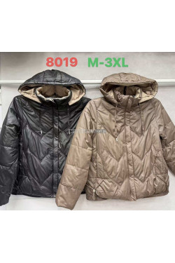 Kurtka damska przejściowa (M-3XL) 8019
