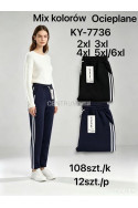 Spodnie damskie ocieplane (2XL-6XL) 1