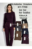 Spodnie damskie ocieplane (2XL-6XL) 1