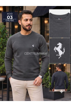 Bluza męska (M-2XL) 6137