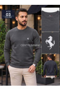 Bluza męska (M-2XL) 61