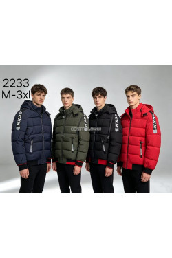 Kurtka męska zimowa (M-3XL) 2233