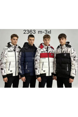 Kurtka męska zimowa (M-3XL) 2363