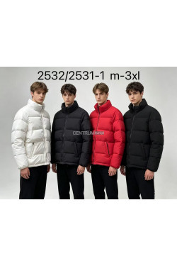 Kurtka męska zimowa (M-3XL) 2532