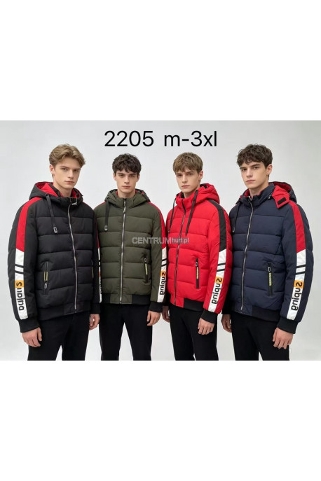 Kurtka męska zimowa (M-3XL) 1