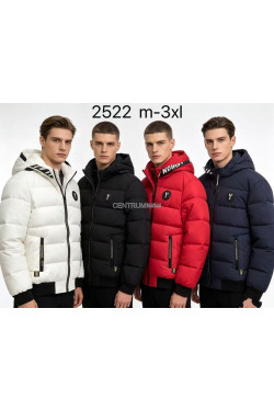 Kurtka męska zimowa (M-3XL) 2522
