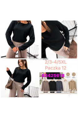 Bluzki damskie (2XL-5XL) 25618